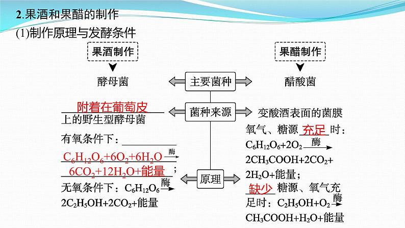 新高考生物一轮复习课件:第33讲 发酵工程(含解析)第7页