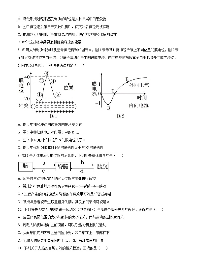 山东省济宁市育才中学2024-2025学年高二上学期10月阶段性测试生物试题第3页