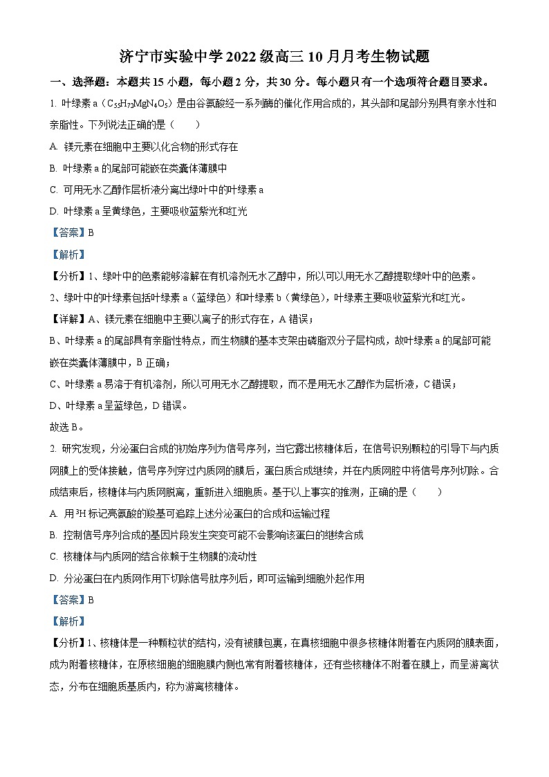 山东省济宁市实验中学2025届高三上学期10月月考生物试题word版含解析第1页