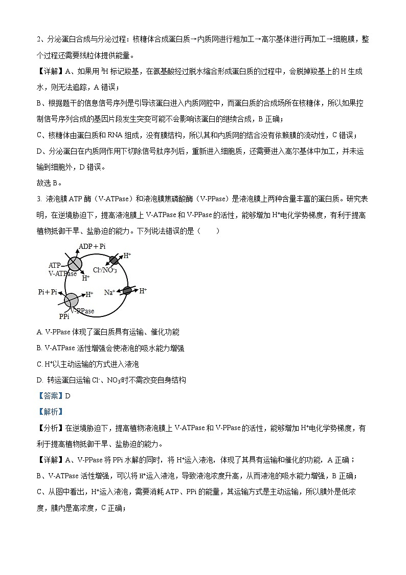 山东省济宁市实验中学2025届高三上学期10月月考生物试题word版含解析第2页