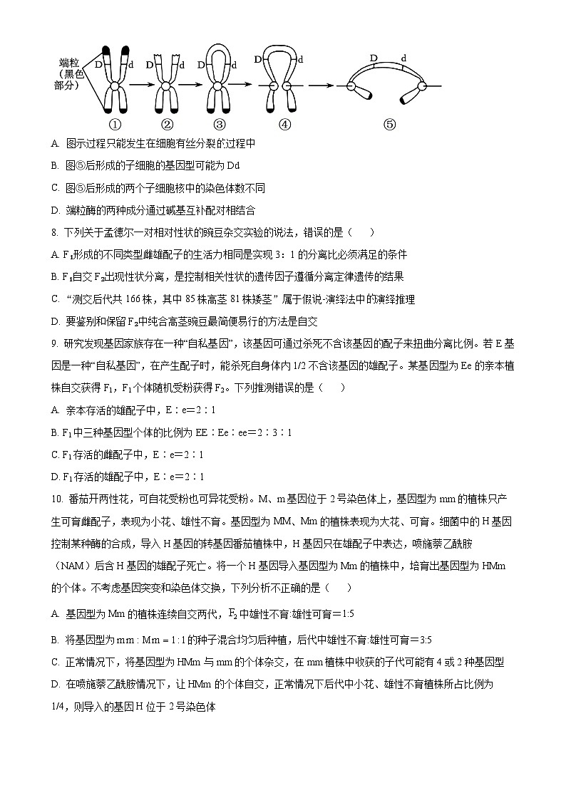 山东省济宁市实验中学2025届高三上学期10月月考生物试题第3页
