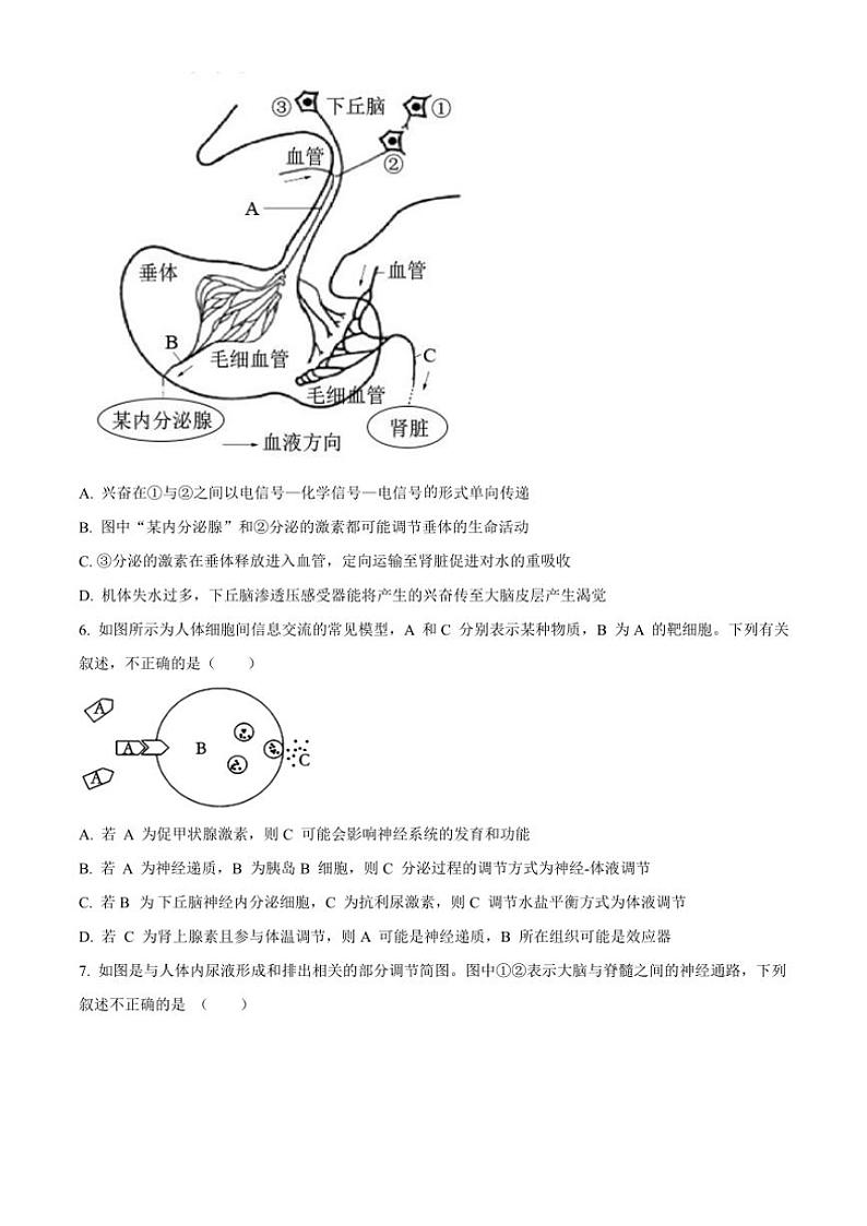 江苏省扬州名校2023~2024学年高二上学期11月期中生物试题 (含解析)第3页