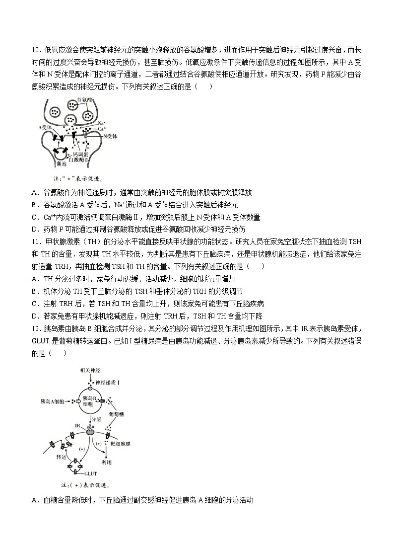 海南省琼海市嘉积中学2024-2025学年高二上学期期中考试生物试题第3页