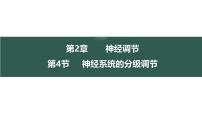 生物选择性必修1第2章 神经调节第4节 神经系统的分级调节教学ppt课件
