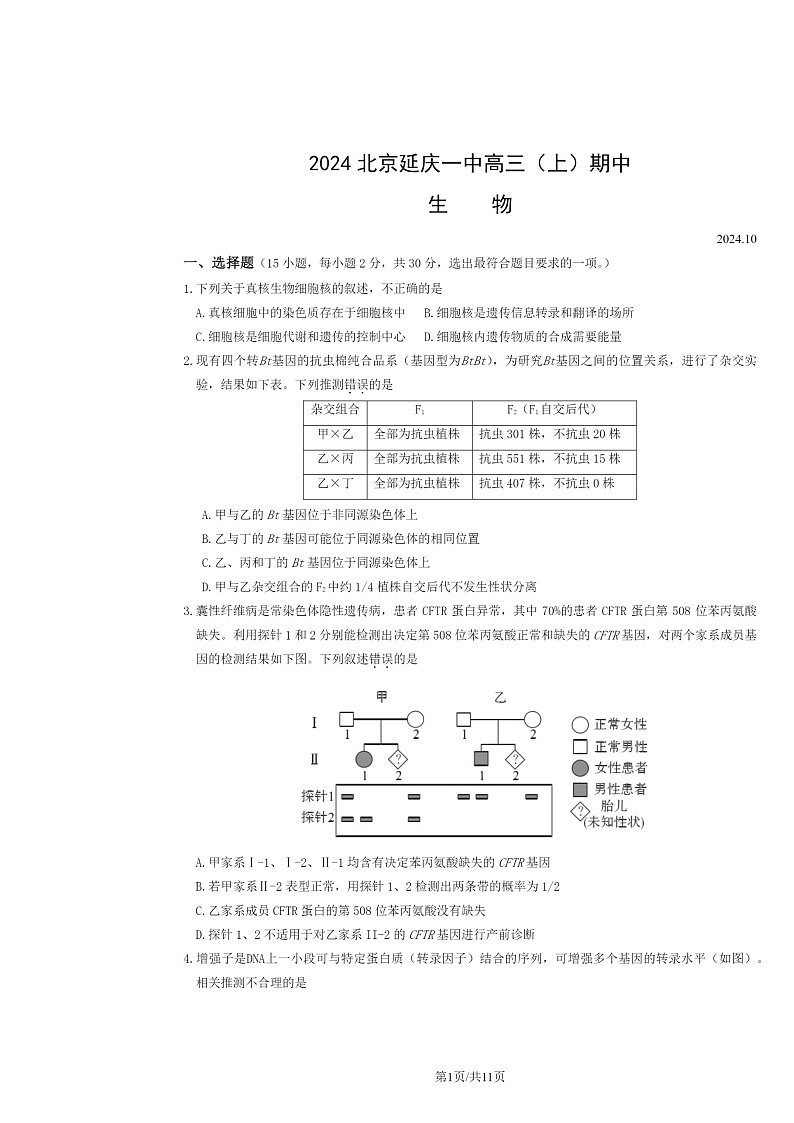 2024北京延庆一中高三上学期期中生物试卷及答案第1页