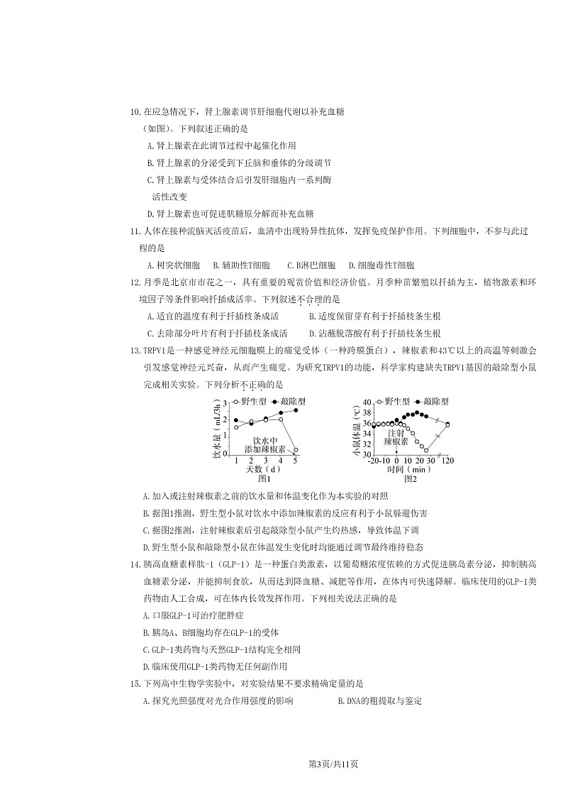2024北京延庆一中高三上学期期中生物试卷及答案第3页