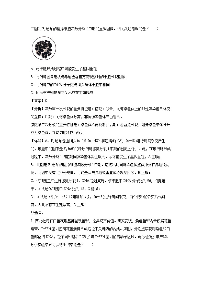 山西省长治市2024-2025学年高三上学期9月质量生物监测(解析版)03