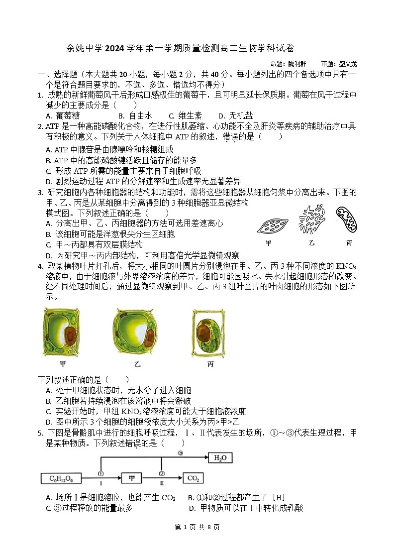 浙江省宁波市余姚中学2024-2025学年高二上学期10月月考生物试题第1页