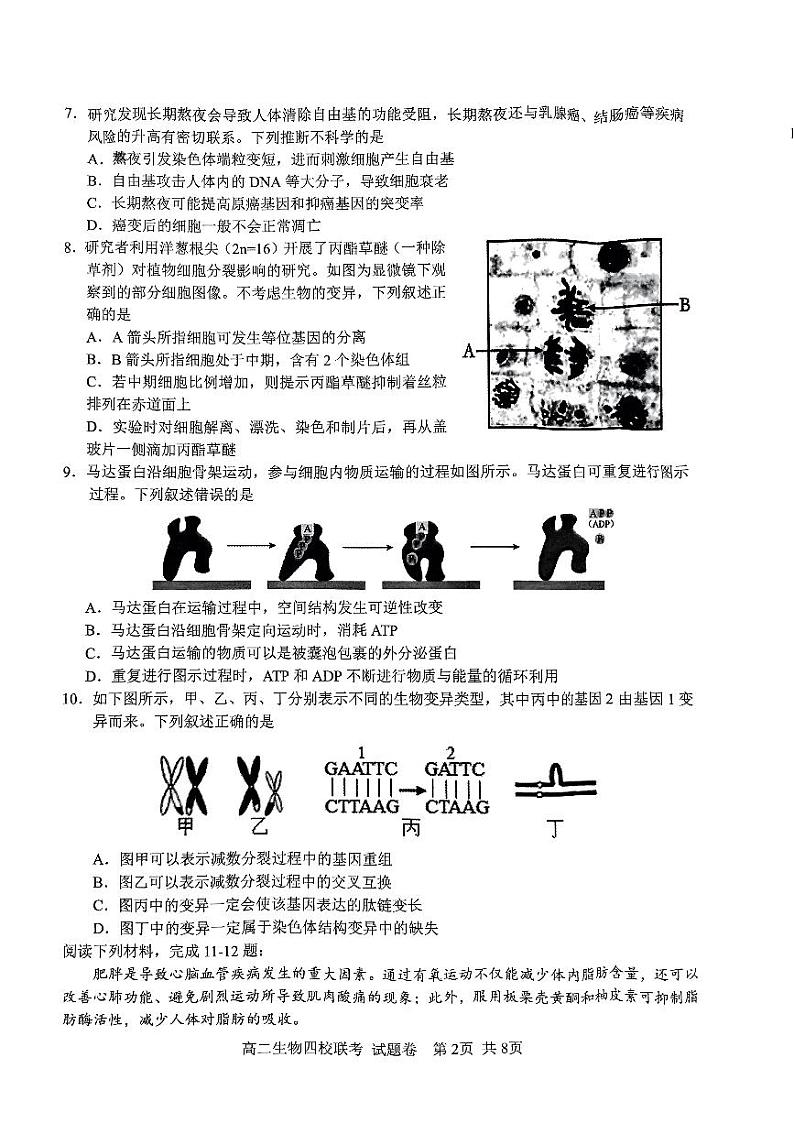2024学年第一学期高二年级10月四校联考生物学科试题卷第2页