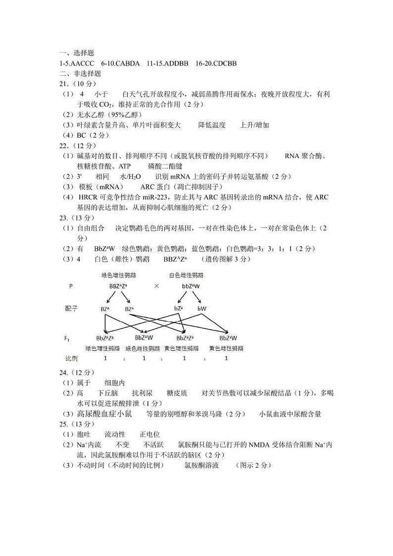 高二生物答案 (1)第1页