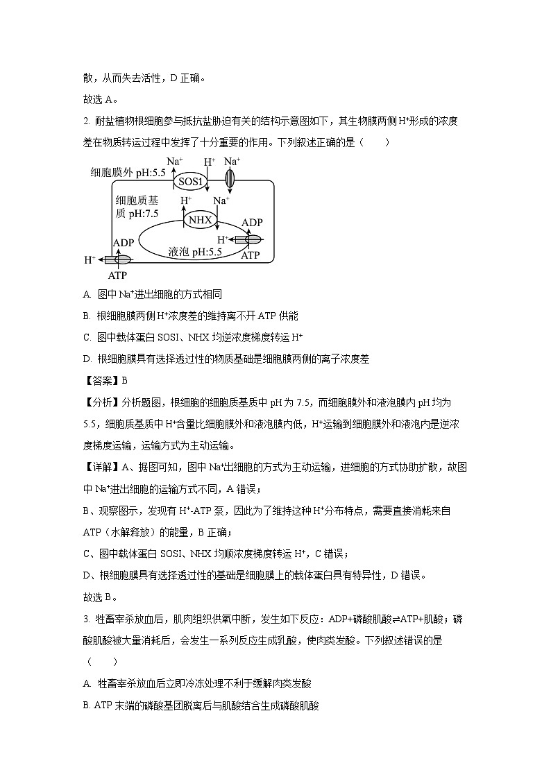 2025届湖北省腾云联盟高三上学期10月联考生物试卷(高考一模)(解析版)第2页