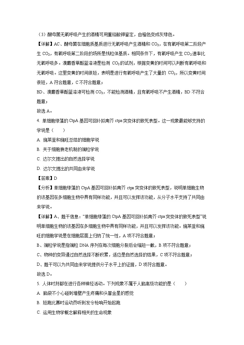 广东省稳派联考2024-2025学年高三上学期10月生物月考(解析版)03