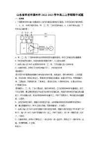 山东省枣庄市滕州市2022-2023学年高二上学期期中试题生物(解析版)