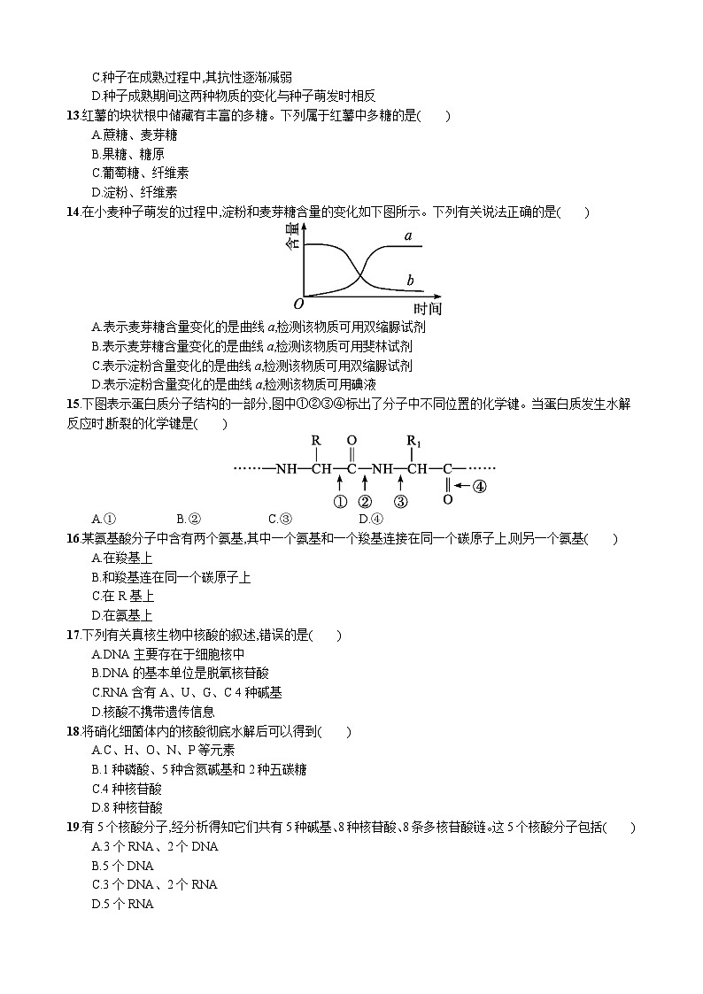甘肃省武威市凉州区武威第八中学2024-2025学年高一上学期10月期中考试生物试题03