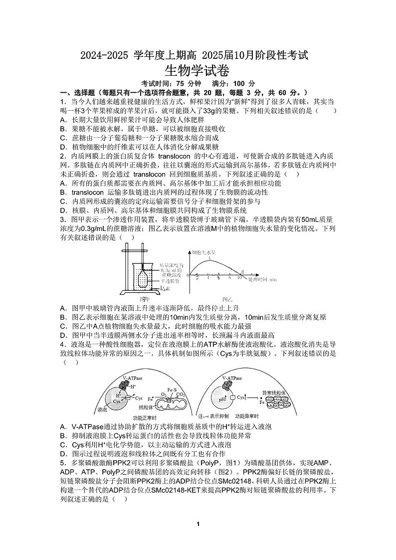 四川省成都市第七中学2024-2025学年高三上学期10月月考生物01