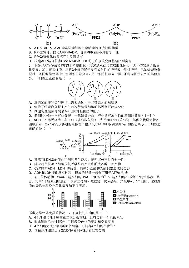 四川省成都市第七中学2024-2025学年高三上学期10月月考生物02