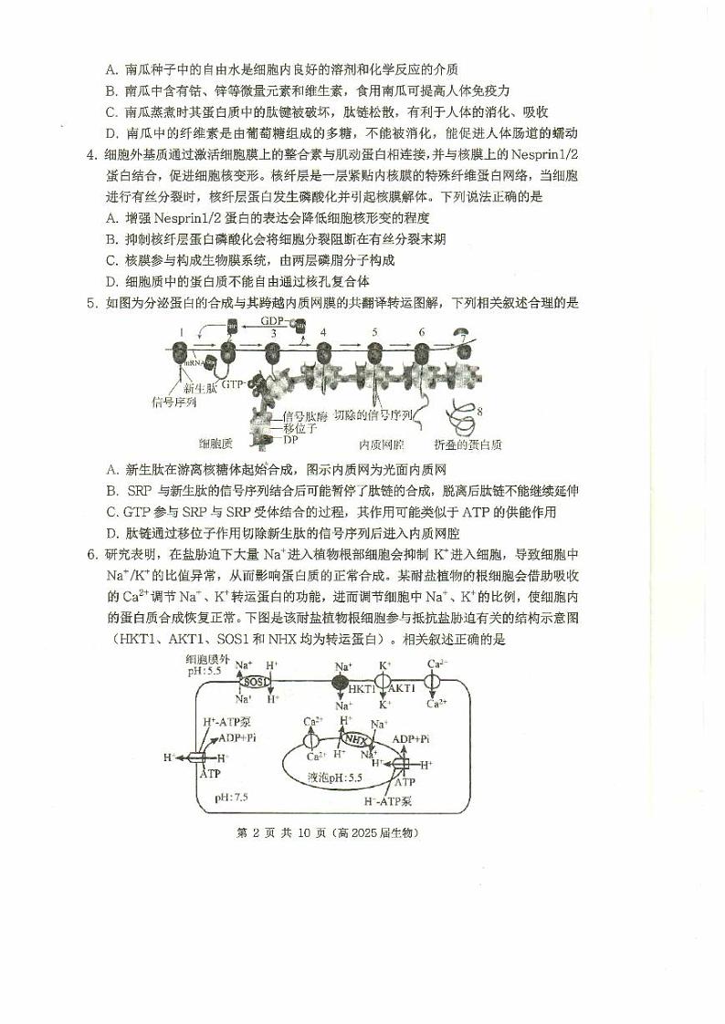 重庆市名校联盟2024-2025学年高三上学期11月期中联合考试生物试题02