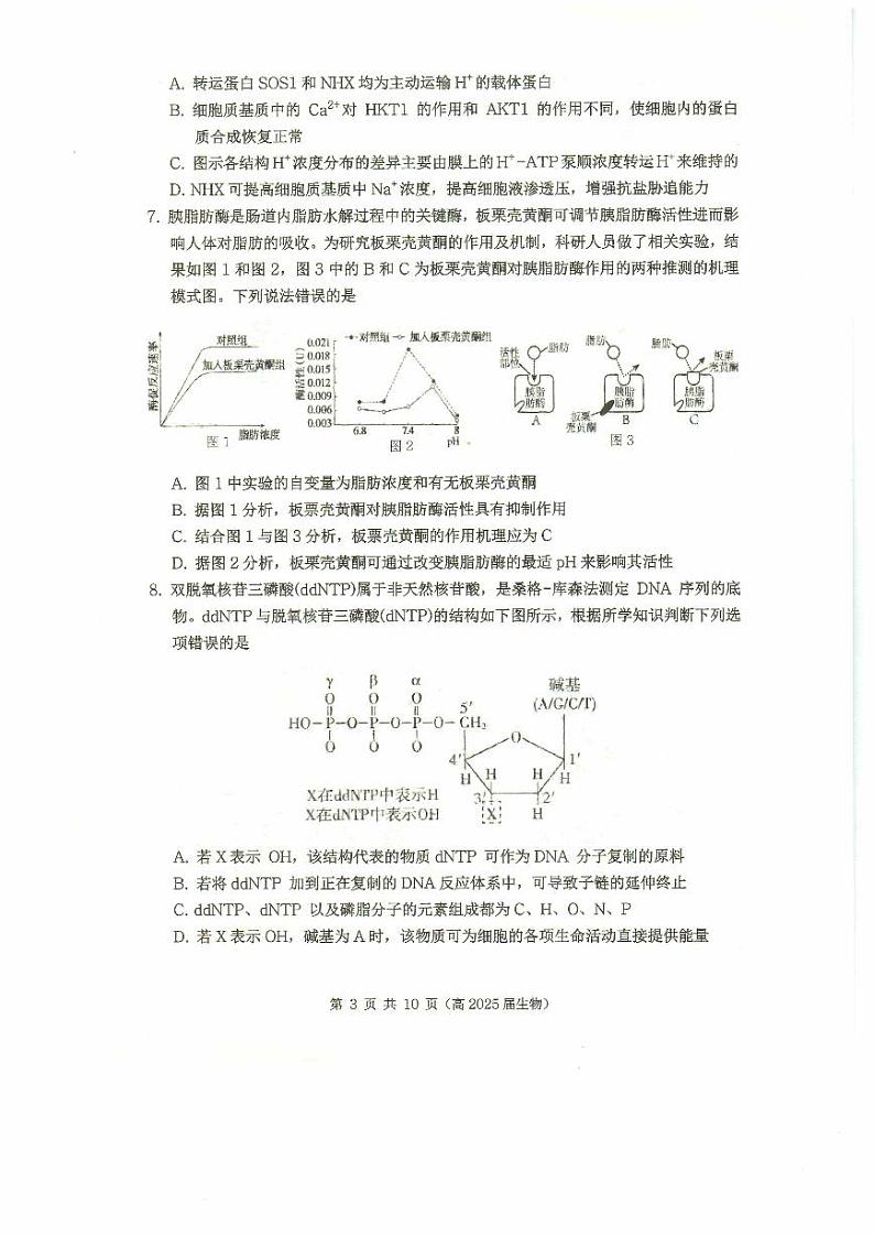 重庆市名校联盟2024-2025学年高三上学期11月期中联合考试生物试题03
