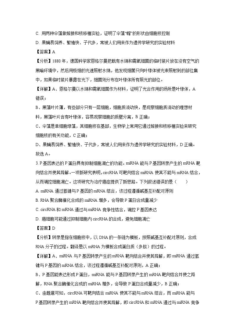 云南省昆明市2024年高三三模考试生物试卷(解析版)第2页