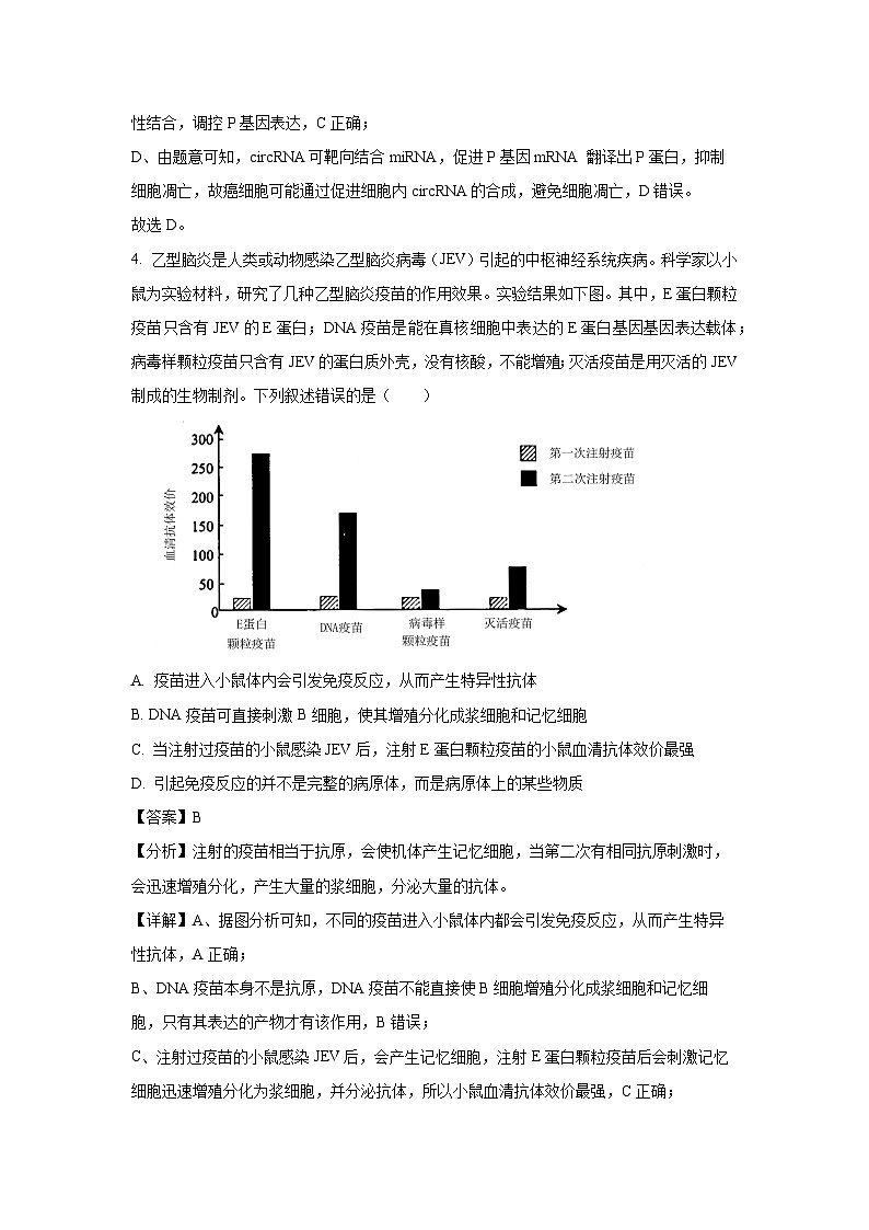 云南省昆明市2024年高三三模考试生物试卷(解析版)第3页