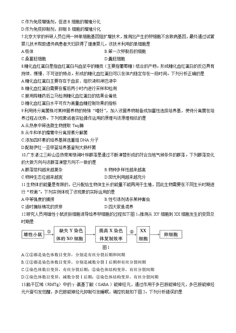 广东省湛江市2024-2025学年高三上学期10月期中调研生物试题(无答案)第2页