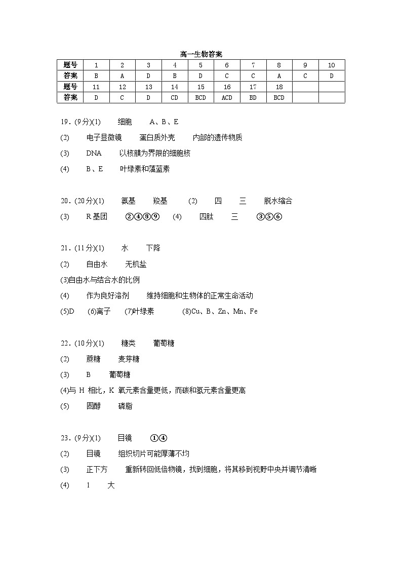 河北省衡水市武强中学2024-2025学年高一上学期期中考试生物试题01