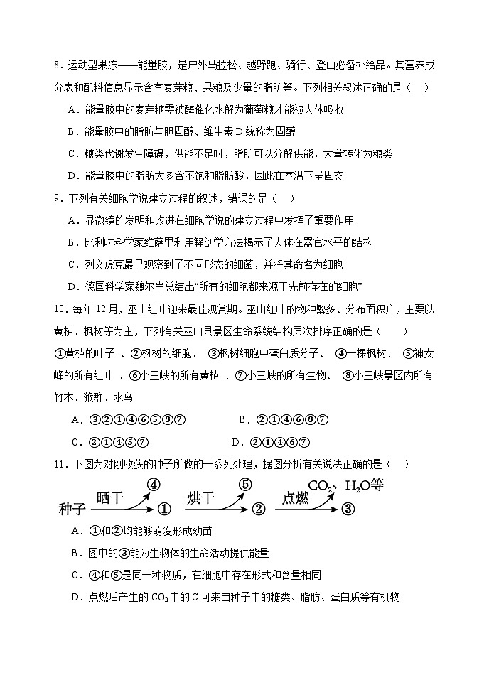 河北省衡水市武强中学2024-2025学年高一上学期期中考试生物试题03