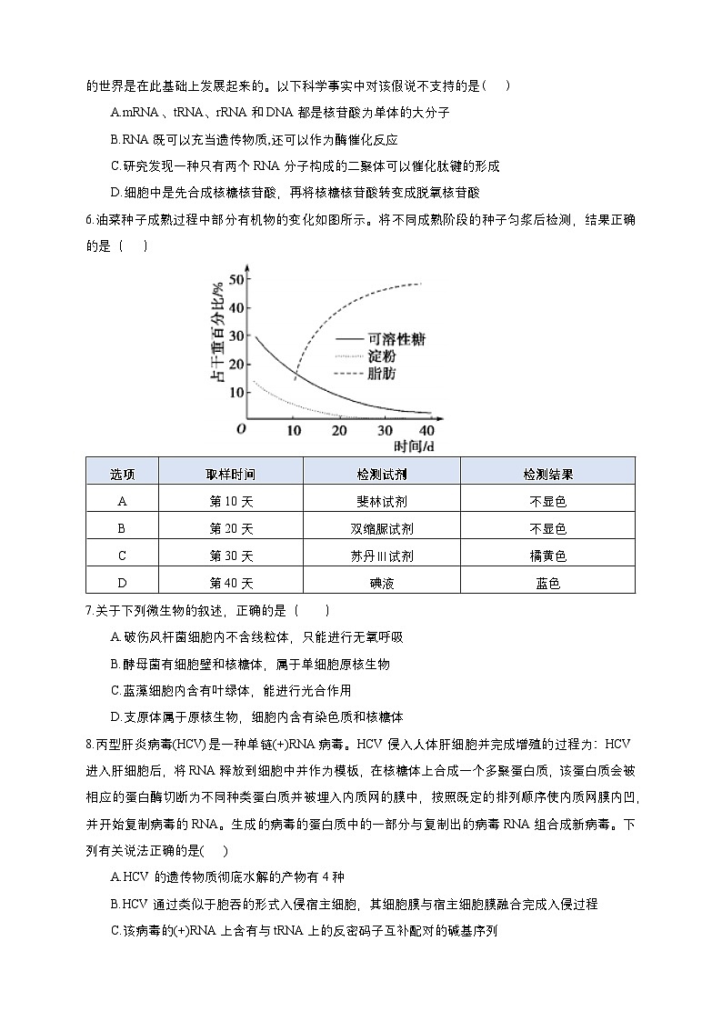 四川省眉山市仁寿县第一中学校(北校区)2024-2025学年高三上学期10月月考生物试题第2页