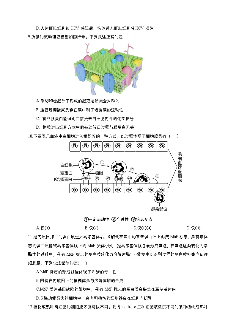 四川省眉山市仁寿县第一中学校(北校区)2024-2025学年高三上学期10月月考生物试题第3页