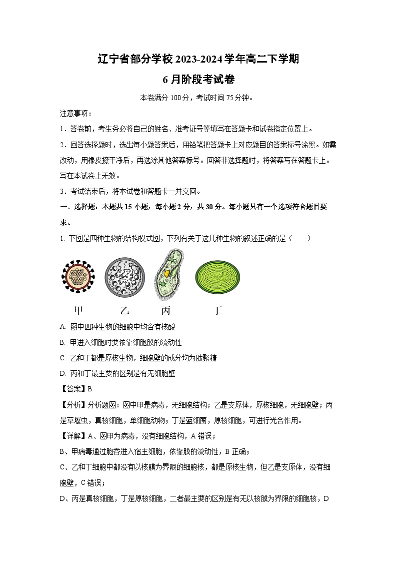 辽宁省部分学校2023-2024学年高二下学期6月阶段考生物试卷（解析版）