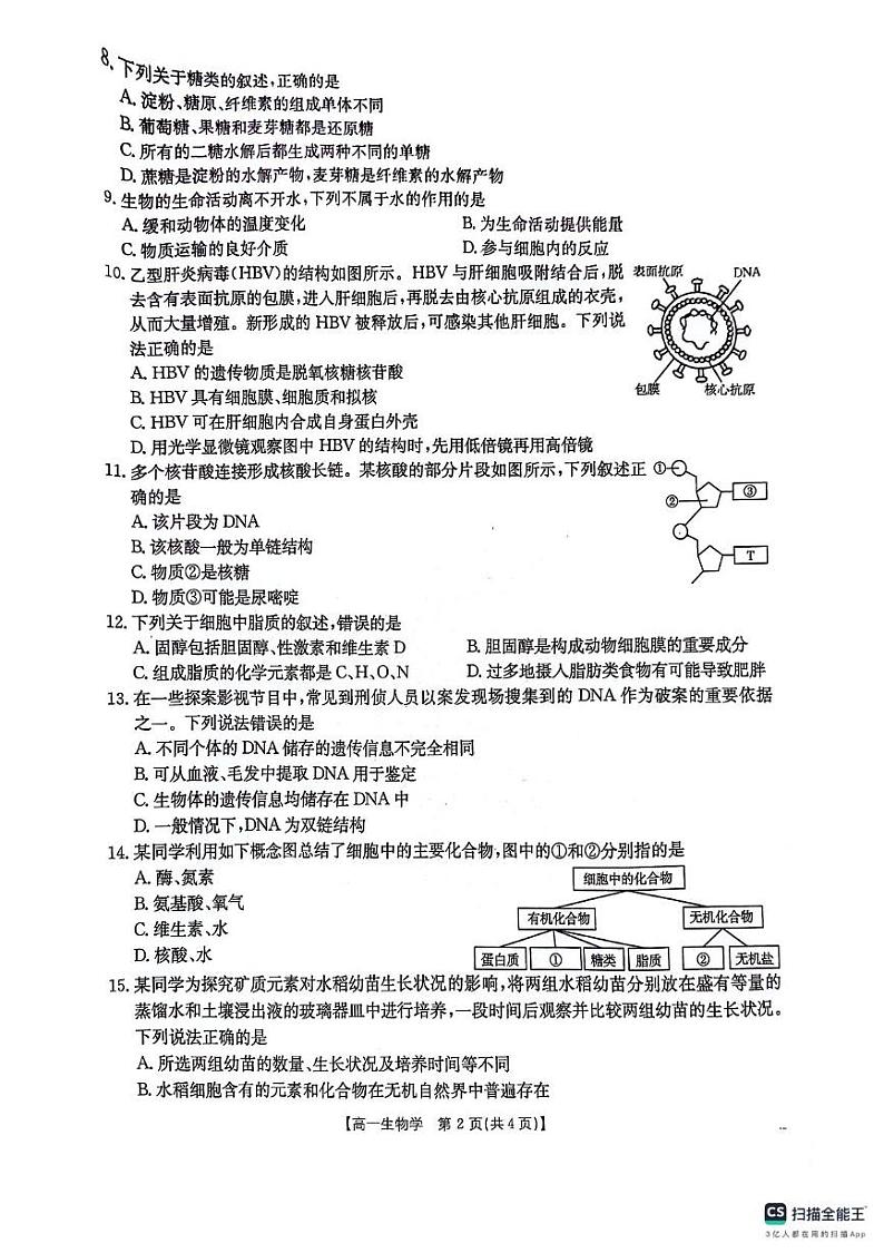 贵州省六盘水市水城区2024-2025学年高一上学期期中质量监测生物试题02