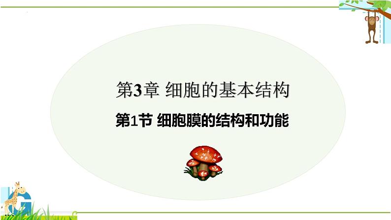 3.1 细胞膜的结构和功能-2024-2025学年高一生物同步教学精品课件(人教版2019必修1)第1页