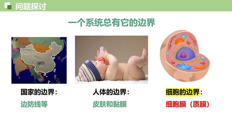 3.1 细胞膜的结构和功能-2024-2025学年高一生物同步教学精品课件(人教版2019必修1)第2页