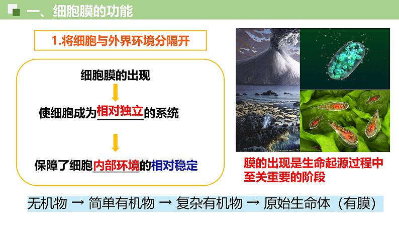 3.1 细胞膜的结构和功能-2024-2025学年高一生物同步教学精品课件(人教版2019必修1)第5页