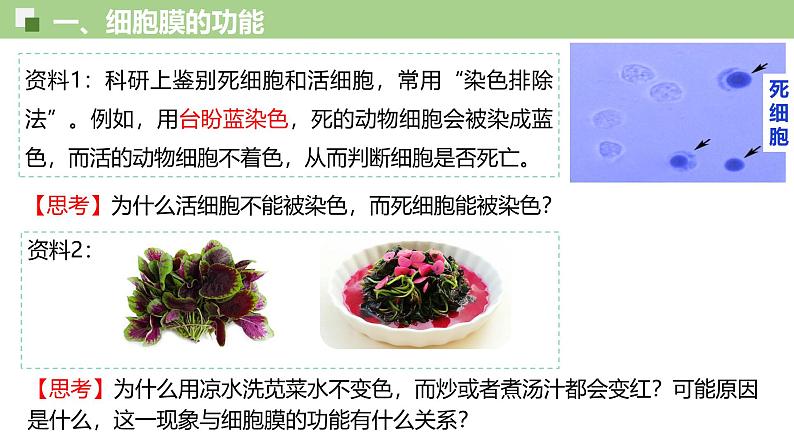3.1 细胞膜的结构和功能-2024-2025学年高一生物同步教学精品课件(人教版2019必修1)第7页