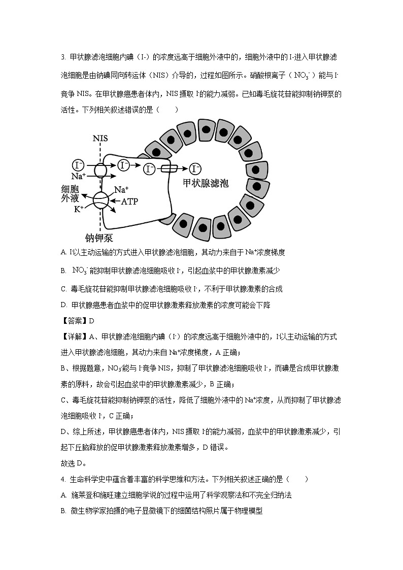 江苏省南京市江宁区2023-2024学年高二下学期期末考试生物试卷(解析版)第2页