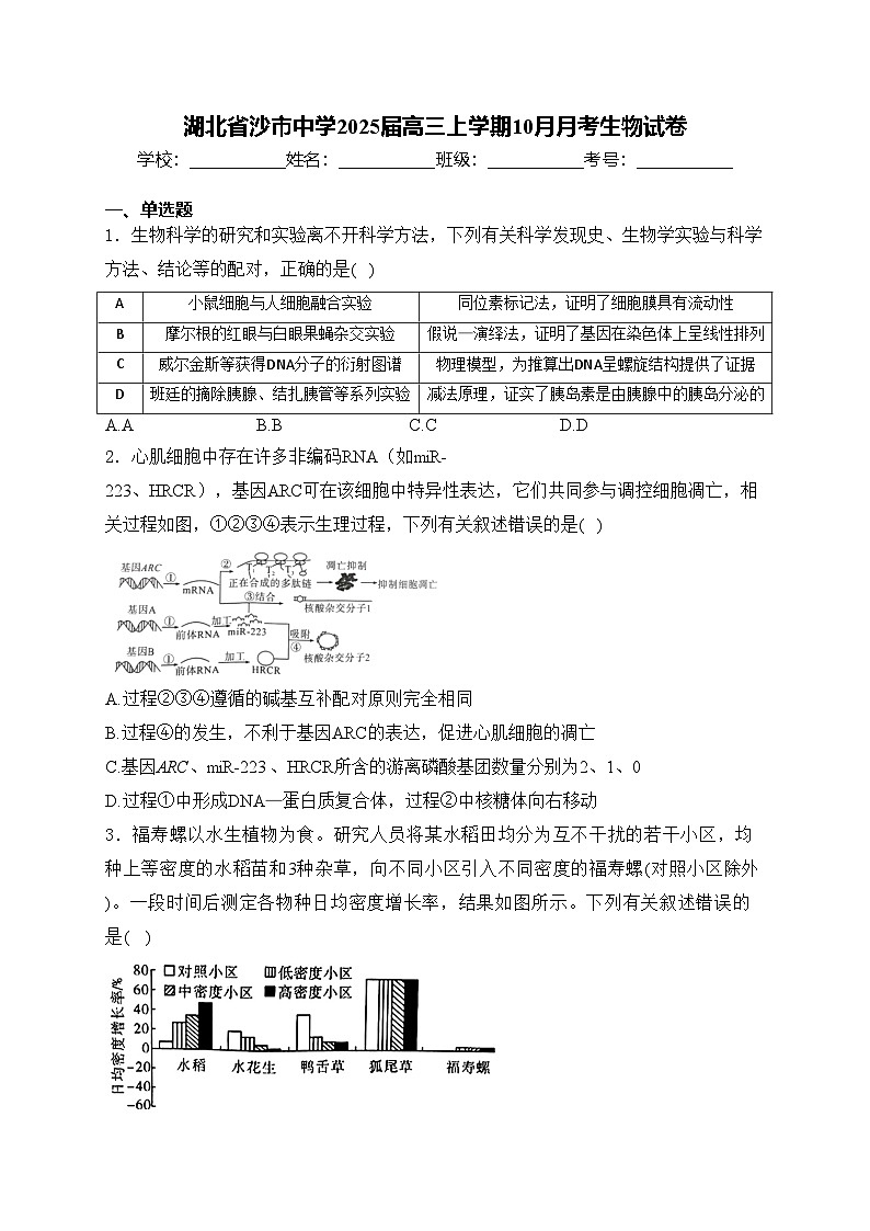 湖北省沙市中学2025届高三上学期10月月考生物试卷(含答案)第1页