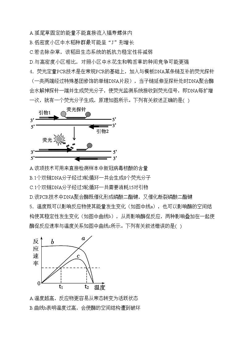 湖北省沙市中学2025届高三上学期10月月考生物试卷(含答案)第2页