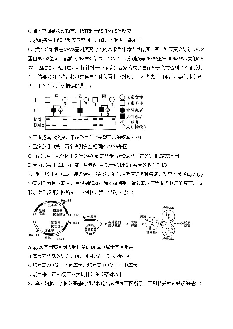 湖北省沙市中学2025届高三上学期10月月考生物试卷(含答案)第3页