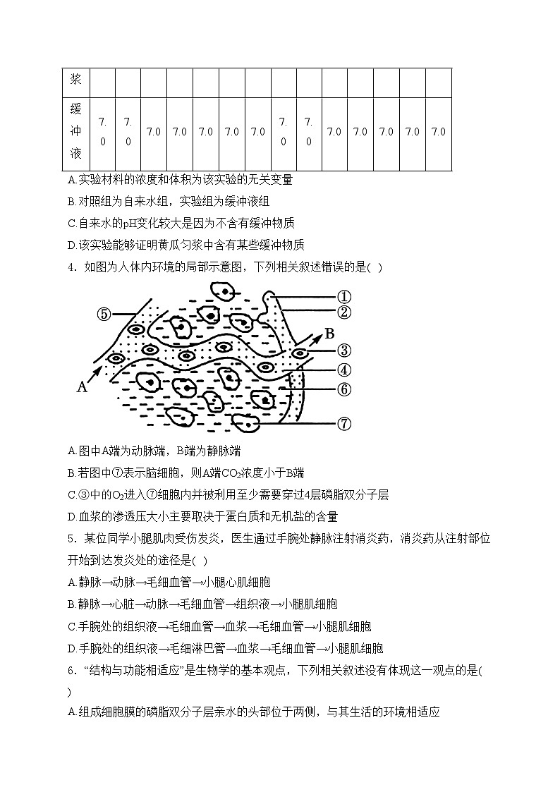 山西省大同市2024-2025学年高二上学期10月质量检测生物试卷(含答案)第2页