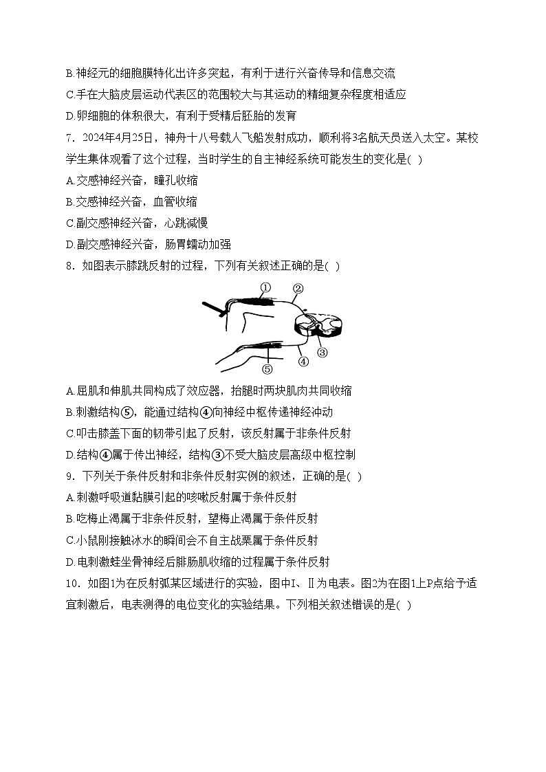 山西省大同市2024-2025学年高二上学期10月质量检测生物试卷(含答案)第3页