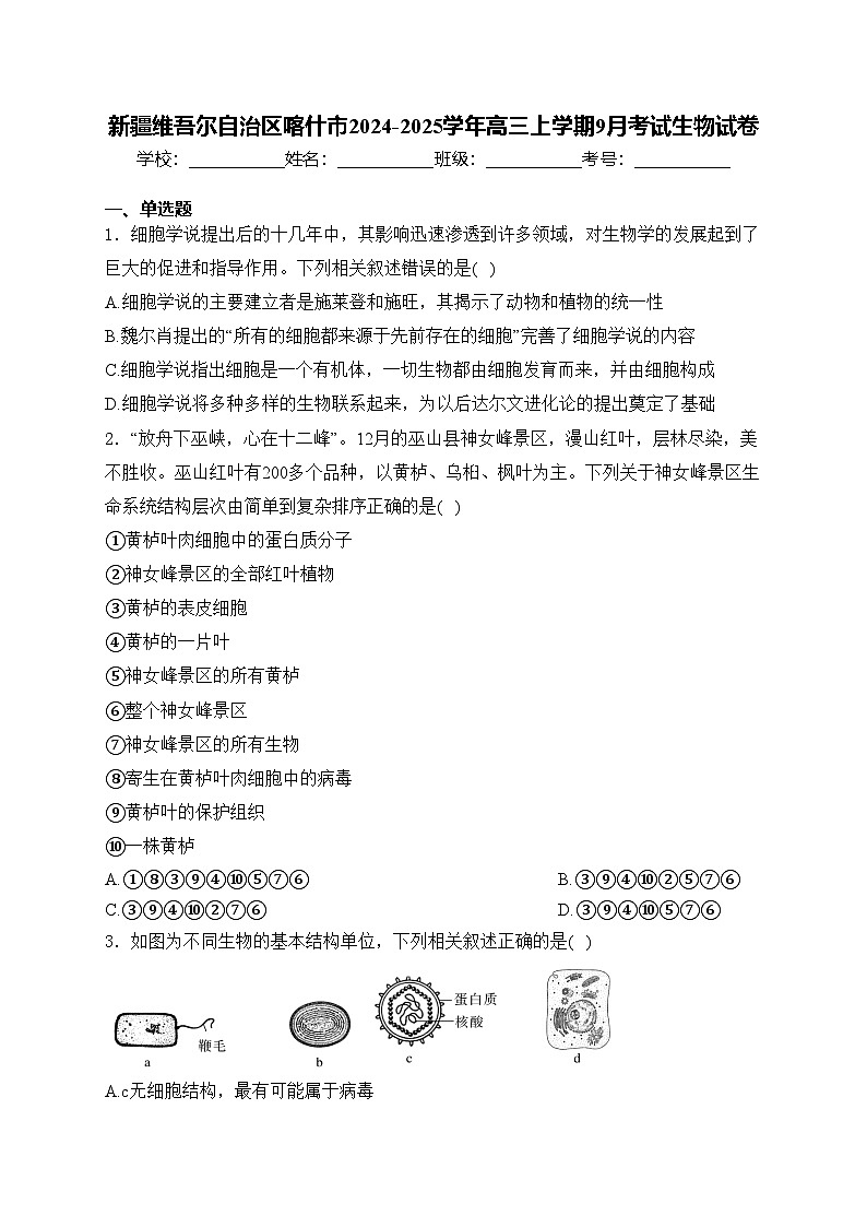 新疆維吾爾自治區(qū)喀什市2024-2025學(xué)年高三上學(xué)期9月考試生物試卷(含答案)第1頁