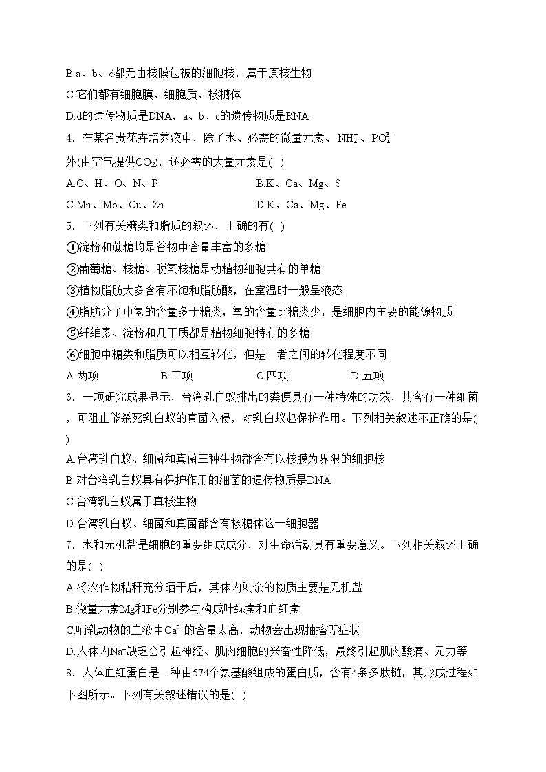 新疆維吾爾自治區(qū)喀什市2024-2025學(xué)年高三上學(xué)期9月考試生物試卷(含答案)第2頁