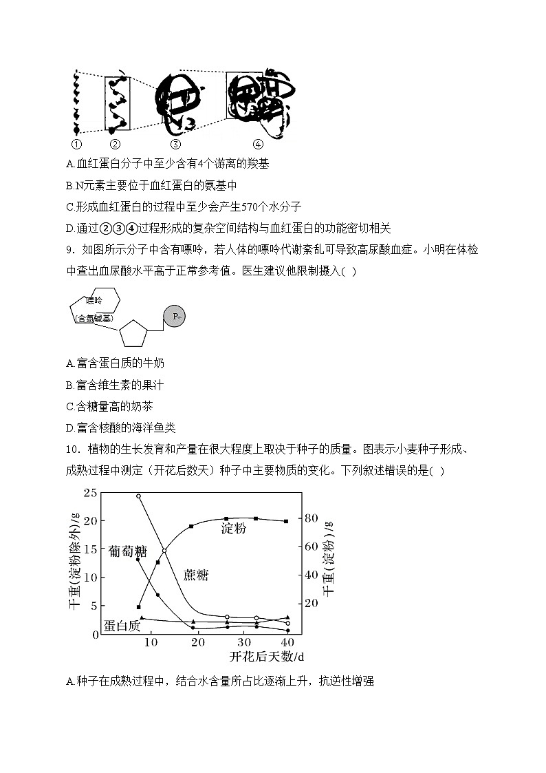 新疆維吾爾自治區(qū)喀什市2024-2025學(xué)年高三上學(xué)期9月考試生物試卷(含答案)第3頁