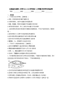 云南省玉溪第一中学2024-2025学年高二上学期9月月考生物试卷(含答案)