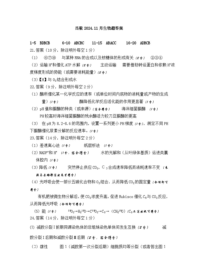 202411生物答案第1页
