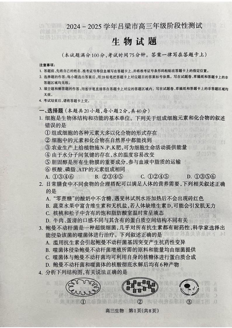 山西省吕梁市2024-2025学年高三上学期11月期中生物试题第1页