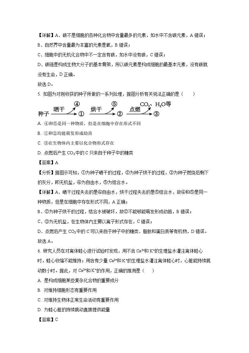 廣西壯族自治區(qū)河池市十校2024-2025學年高一上學期10月第一次聯(lián)考生物試卷(解析版)第3頁
