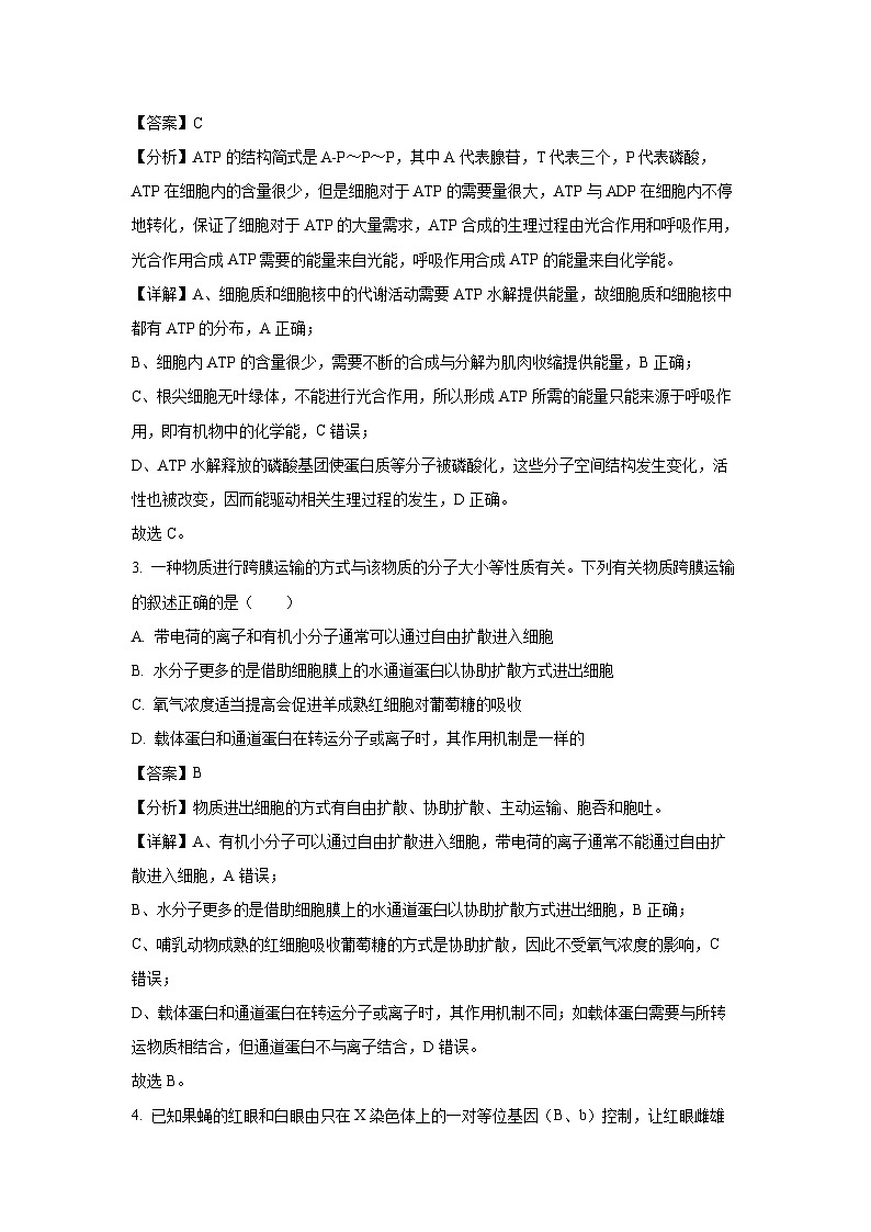 2025届安徽省江南十校高三上学期10月联考生物试卷(解析版)第2页