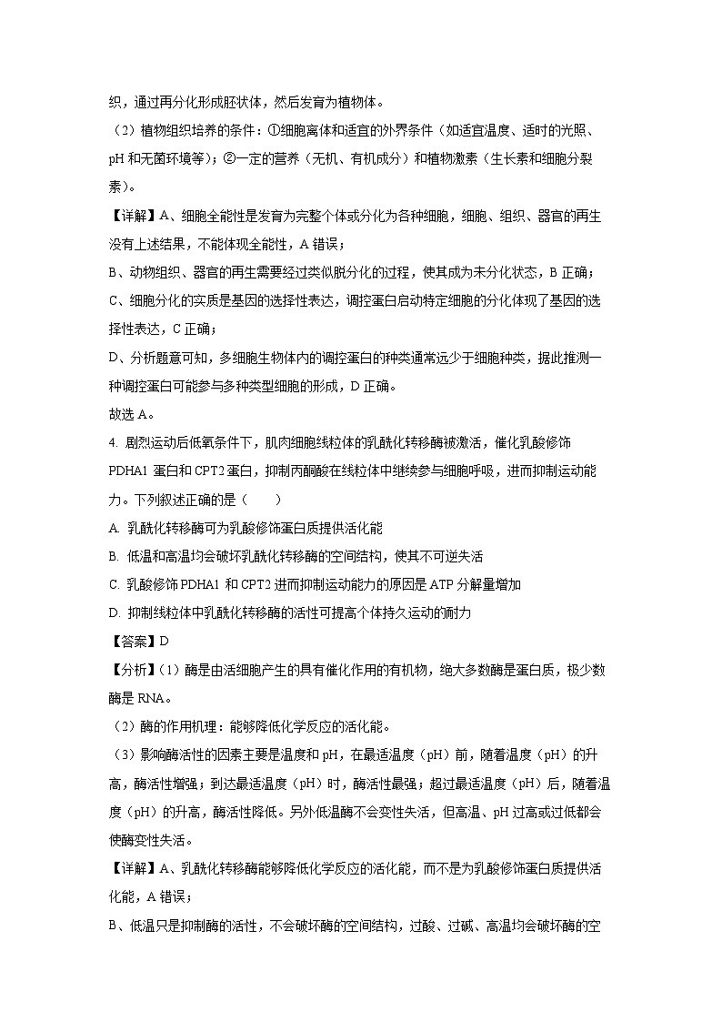 2024届甘肃省张掖市某校高三下学期适应性考试(一)生物试卷(解析版)第3页